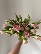 Load image into Gallery viewer, Windsor Box of Blooms (large)