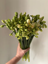 Load image into Gallery viewer, Spring Windsor Box of Blooms (large)