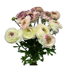 Load image into Gallery viewer, Bag of Blooms