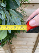 Load image into Gallery viewer, Extra Large Compostable Natural Wreath with Bow