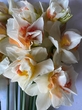 Load image into Gallery viewer, Large British Narcissus | Double Mix | 10 Stems