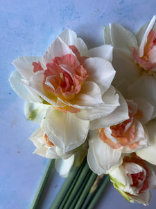 Large British Narcissus | Double Mix | 10 Stems