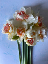 Load image into Gallery viewer, Large British Narcissus | Double Mix | 10 Stems
