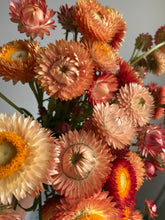 Load image into Gallery viewer, Mixed Pink & Apricot Strawflowers ~ 10 stems