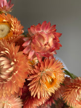 Load image into Gallery viewer, Mixed Pink & Apricot Strawflowers ~ 10 stems