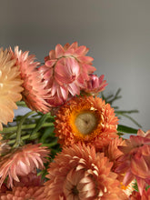 Load image into Gallery viewer, Apricot Strawflowers ~ 10 stems
