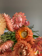 Load image into Gallery viewer, Apricot Strawflowers ~ 10 stems