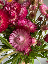 Load image into Gallery viewer, Mixed Pink & Apricot Strawflowers ~ 10 stems