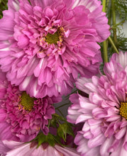 Load image into Gallery viewer, *Coming Soon*                          Flower Arrangers Boxes
