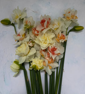 {Deposit} Mothers Day Workshop