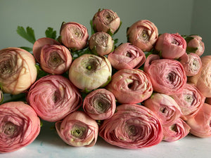 {Deposit} Mothers Day Workshop