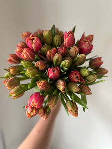 Spring Bag of Blooms