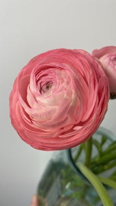 {Deposit} Mothers Day Workshop