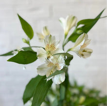 Load image into Gallery viewer, Bag of Blooms
