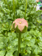 Load image into Gallery viewer, {Deposit} Mothers Day Workshop
