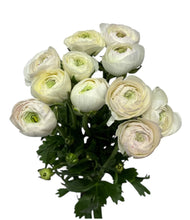 Load image into Gallery viewer, Bag of Blooms
