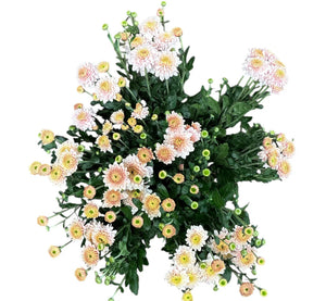 Bag of Blooms