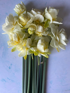 {Deposit} Mothers Day Workshop