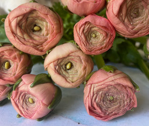 Luxury Ranunculus | 10 Stems