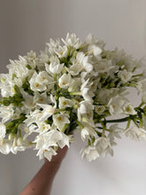 Load image into Gallery viewer, Spring Windsor Box of Blooms (small)
