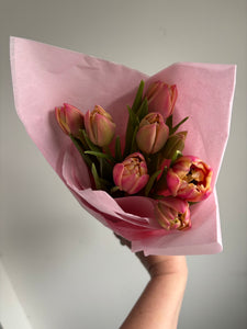 *Collection Only* Tulip ‘Double Columbus’
