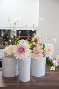Dahlia ~ Cafe Au Lait ~ 5 Stems