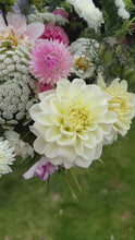 Load and play video in Gallery viewer, Box of Blooms ‘Summer Sensation’ {out of season}
